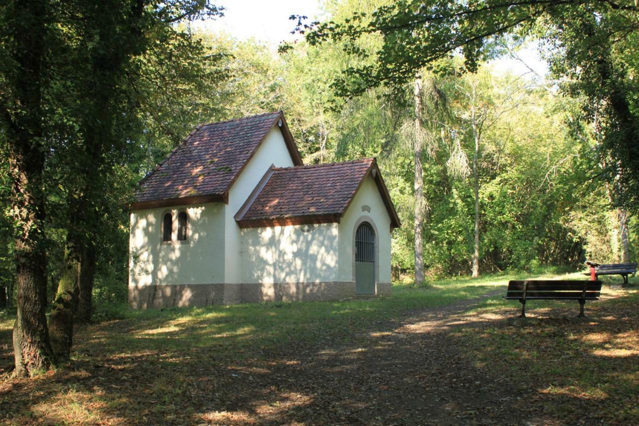 Villa Bonheur Illfurth Alsace 4 Chambres Exterior foto